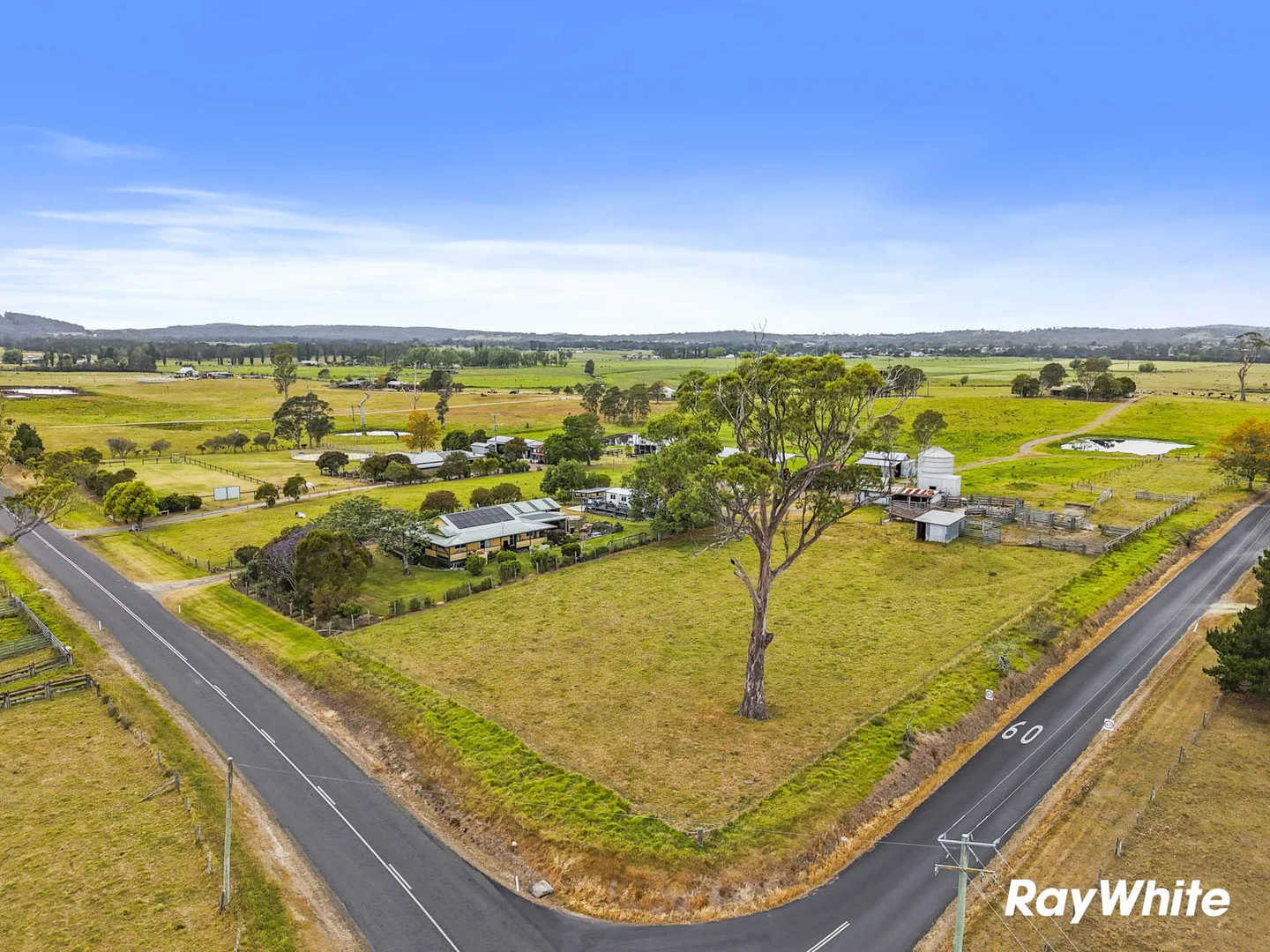 Additional image 5 of 95 Larrys Mountain Road, Moruya NSW 2537