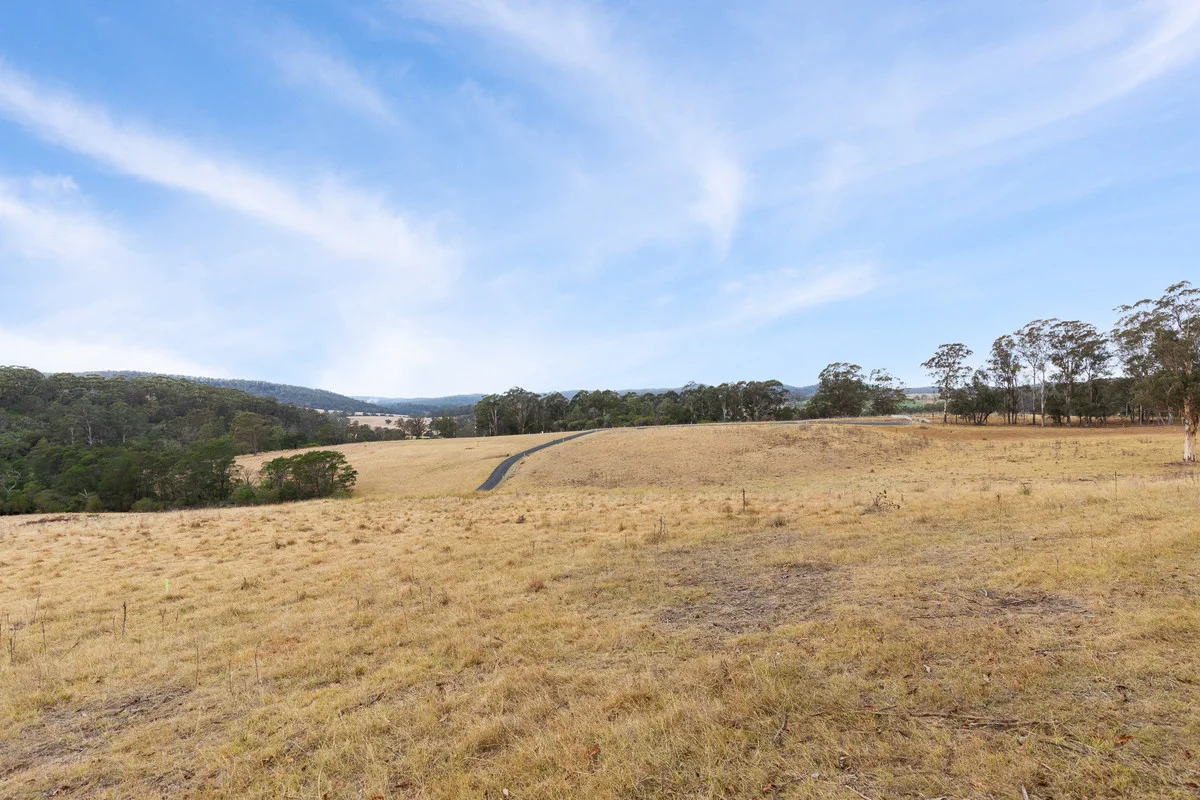 Additional image 4 of 17 Eucalyptus Lane, Lochiel NSW 2549