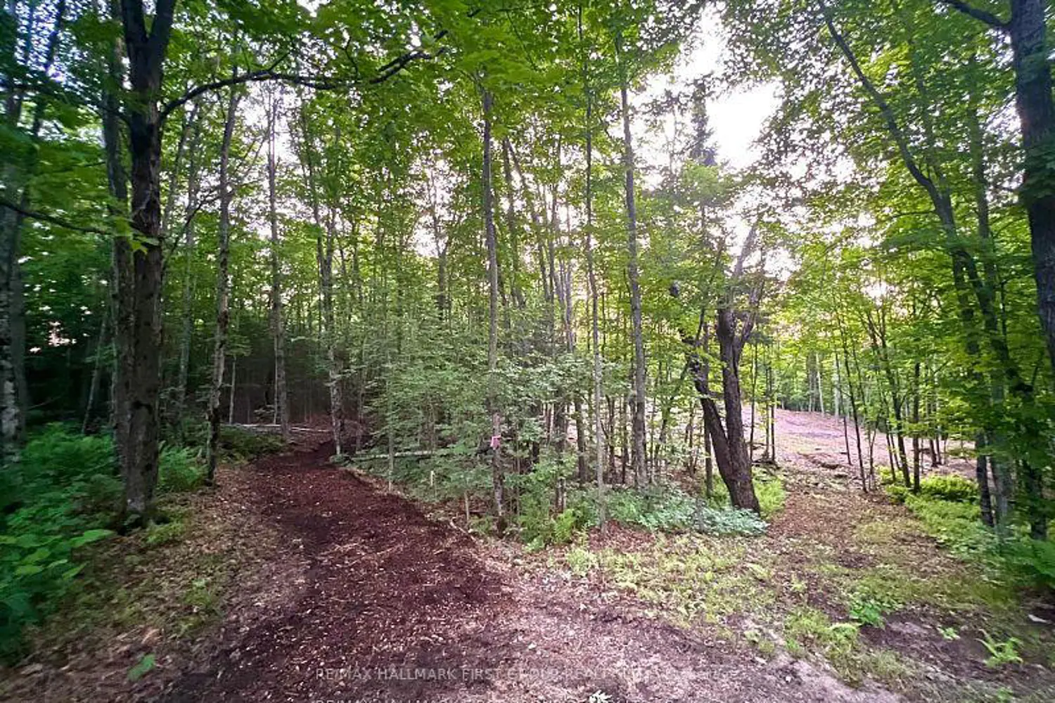 Additional image 8 of 678 Centreview Road
