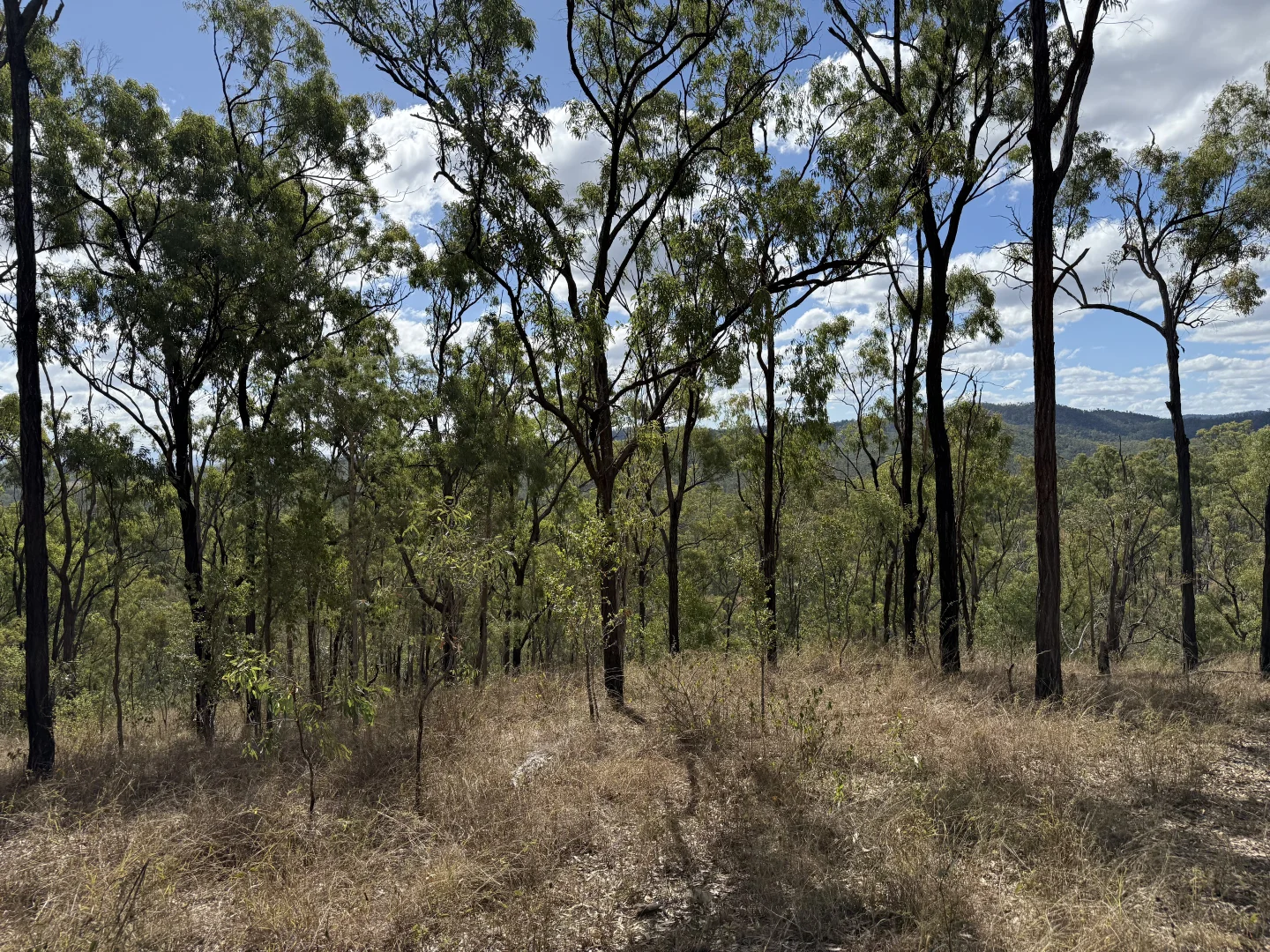 Additional image 6 of 471 Neill Creek Road, Wooderson QLD 4680