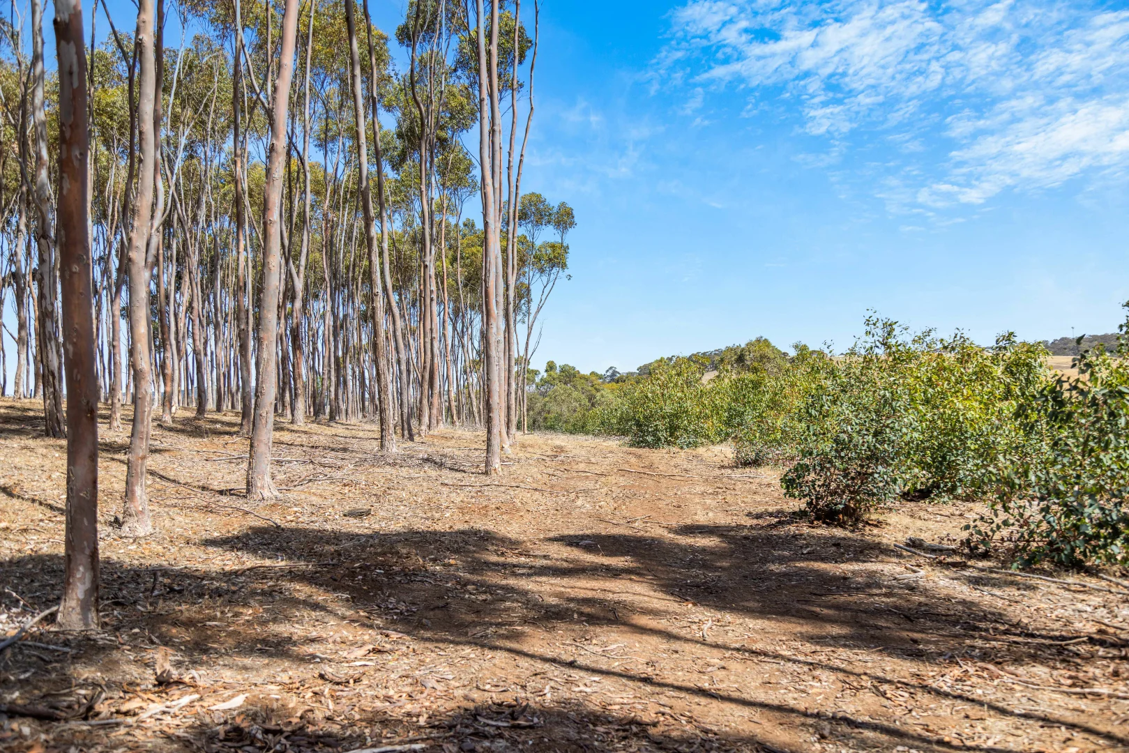 Additional image 20 of 97 Milhinch Road, Carrickalinga SA 5204