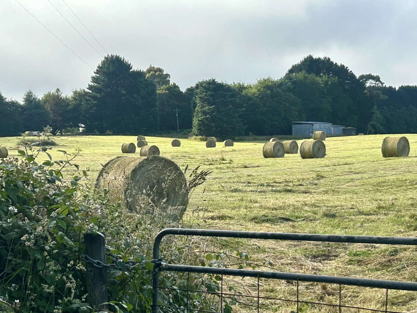 Additional image 29 of 150 Bergs Lane, Trentham East VIC 3458