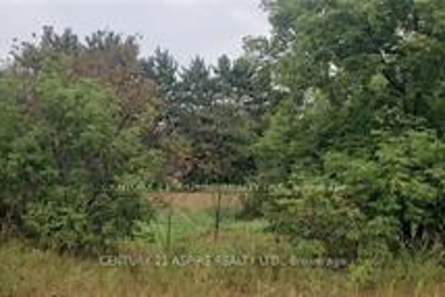 Additional image 4 of 0 Albert Street