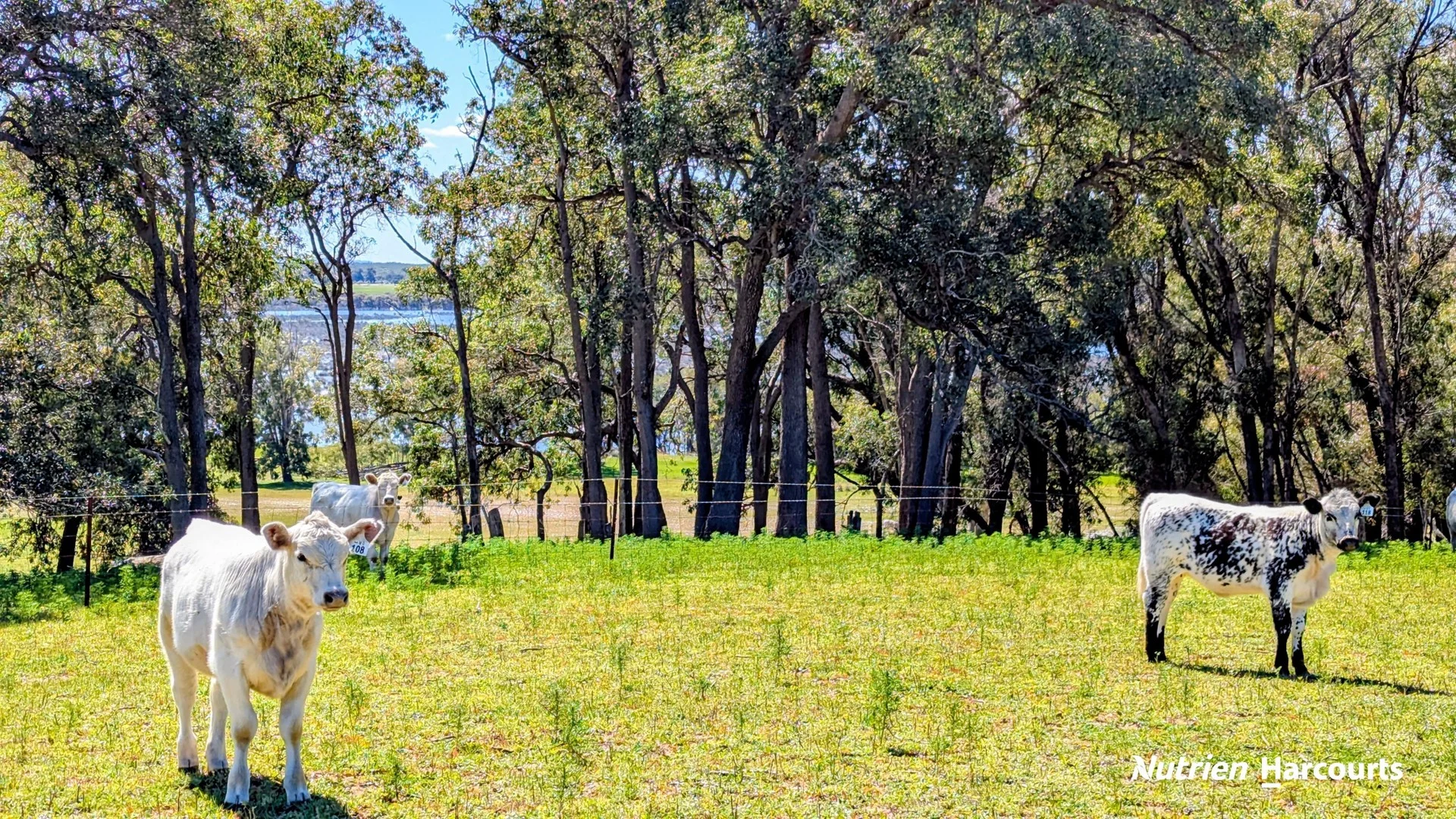 Lot 53 Cowalla Road, Cowalla WA 6503