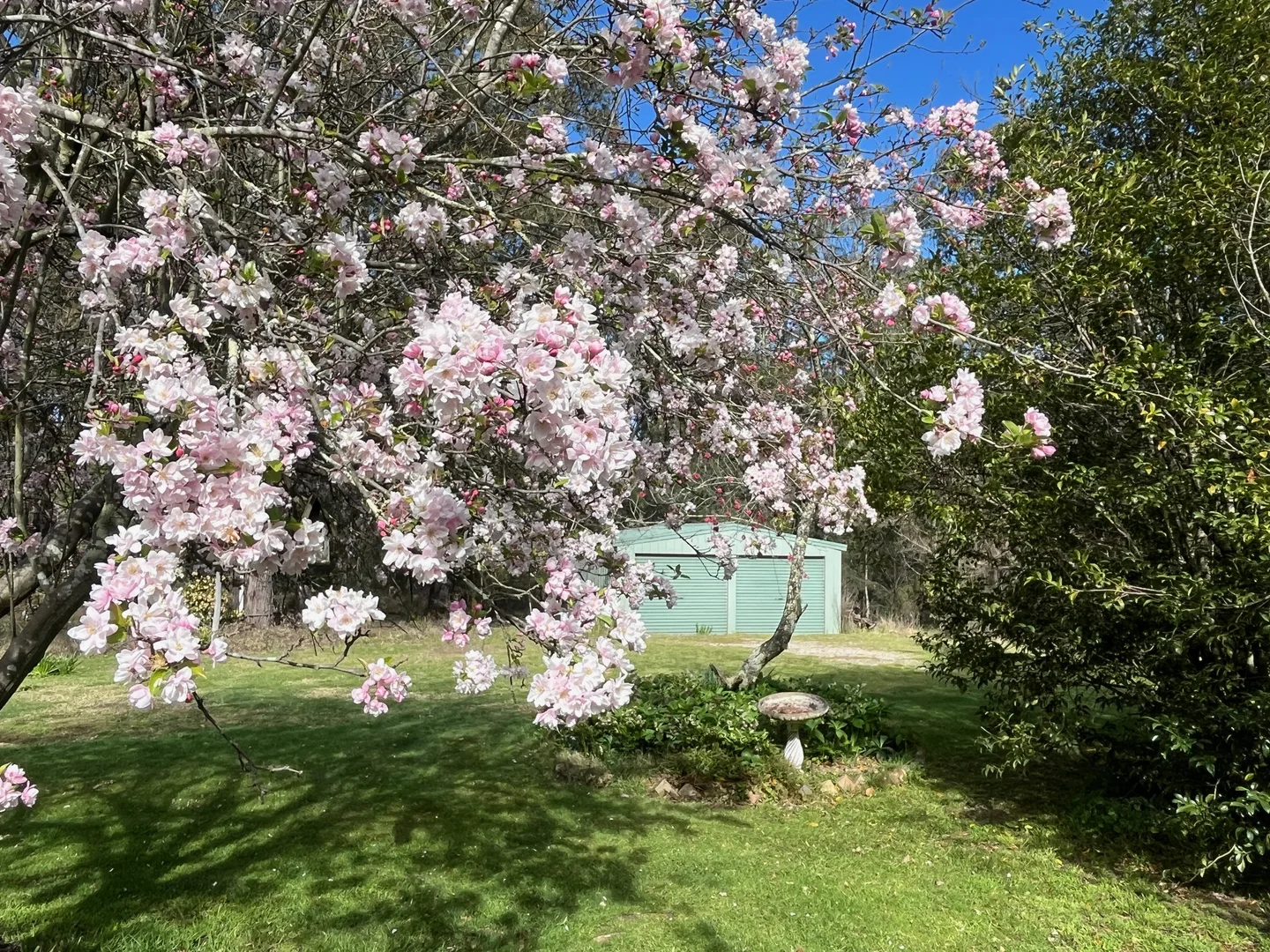 Additional image 28 of 222 Coxs River Road, Little Hartley NSW 2790