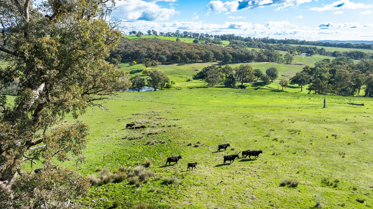 Additional image 27 of 108 Delaneys Lane, Hansonville VIC 3675