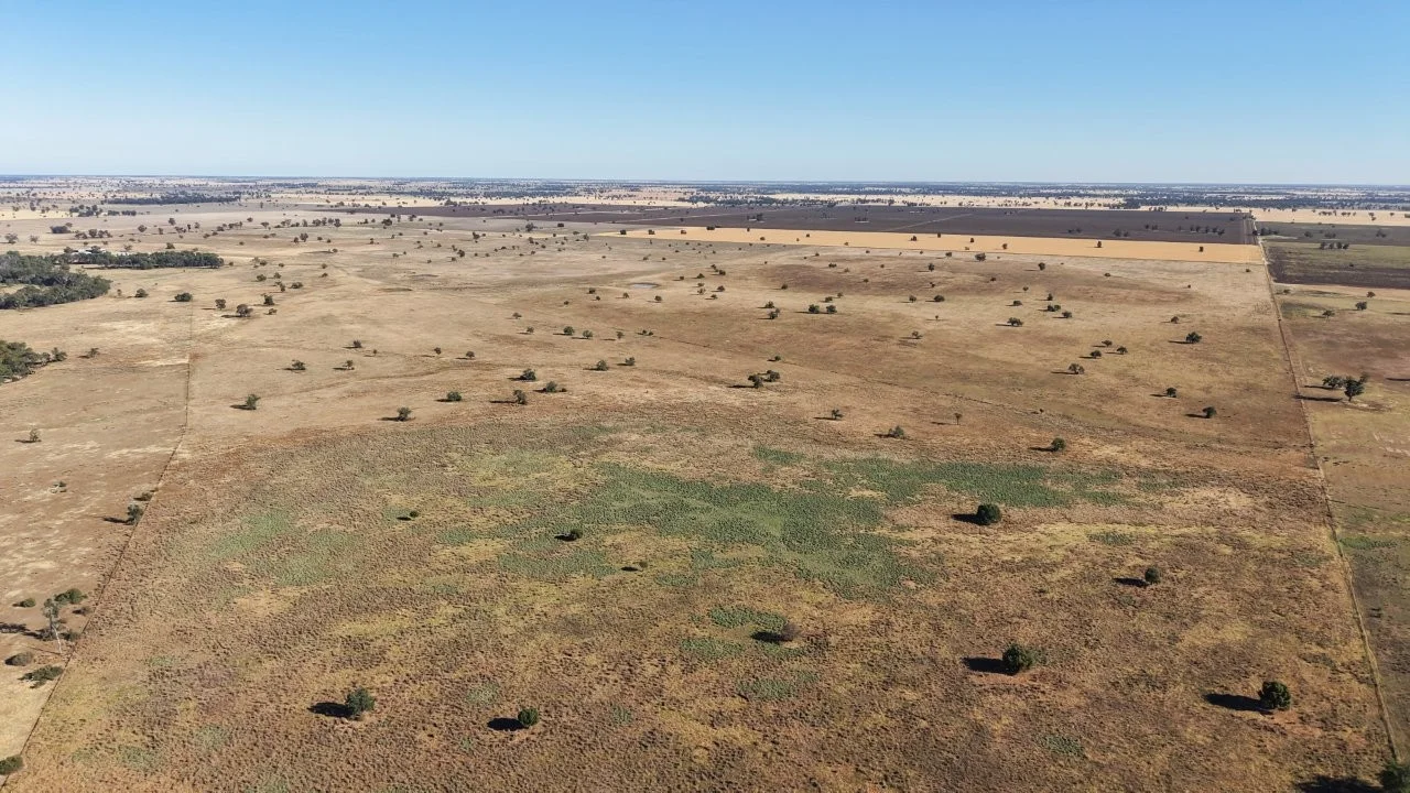 Additional image 12 of 128 Berida-Bullagreen Road, Collie NSW 2827