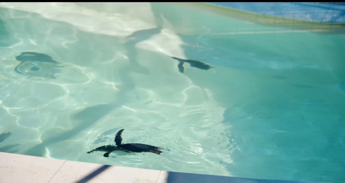 Additional image 32 of 21 Baines Road, Pilton QLD 4361