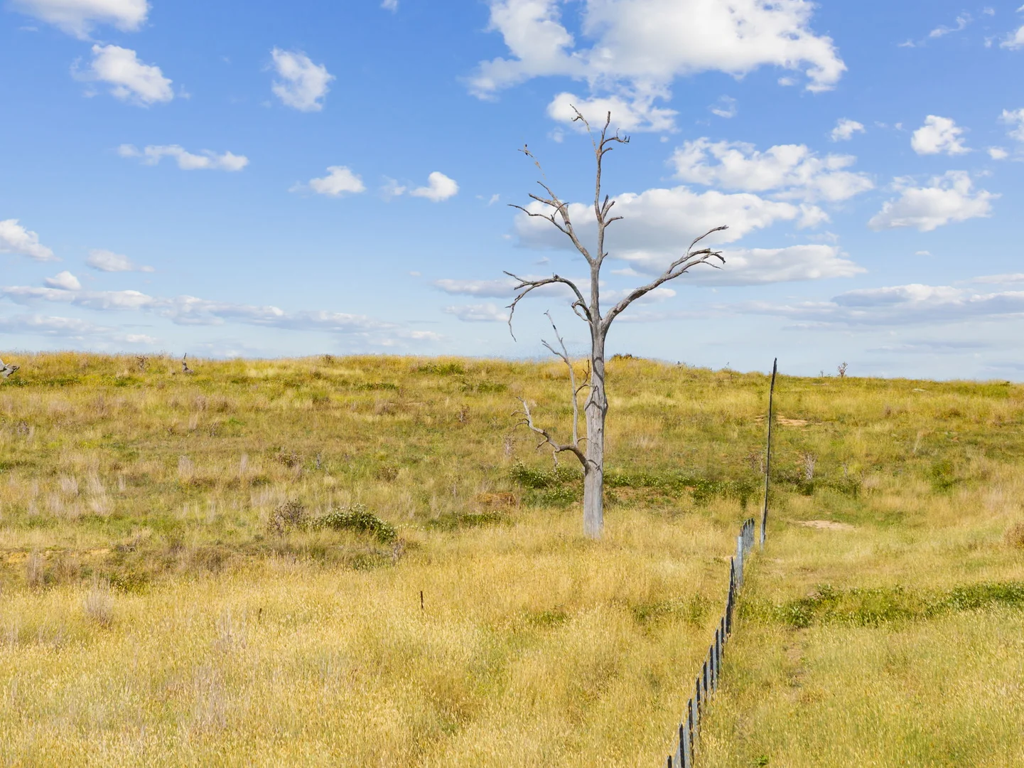 Additional image 45 of 639 Yass River Road, Yass NSW 2582
