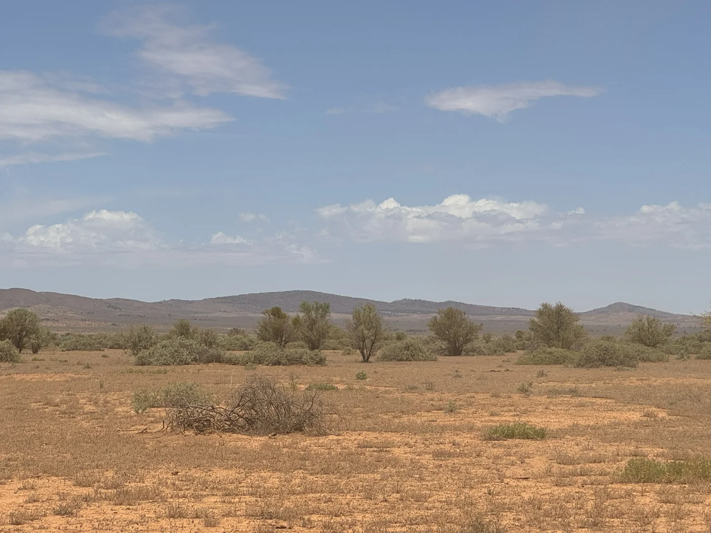 Additional image 17 of Minburra/Lynch Road, Minburra SA 5431
