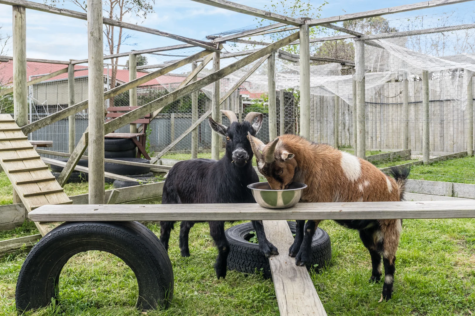 Additional image 19 of 89 Eagle Court, Teesdale VIC 3328