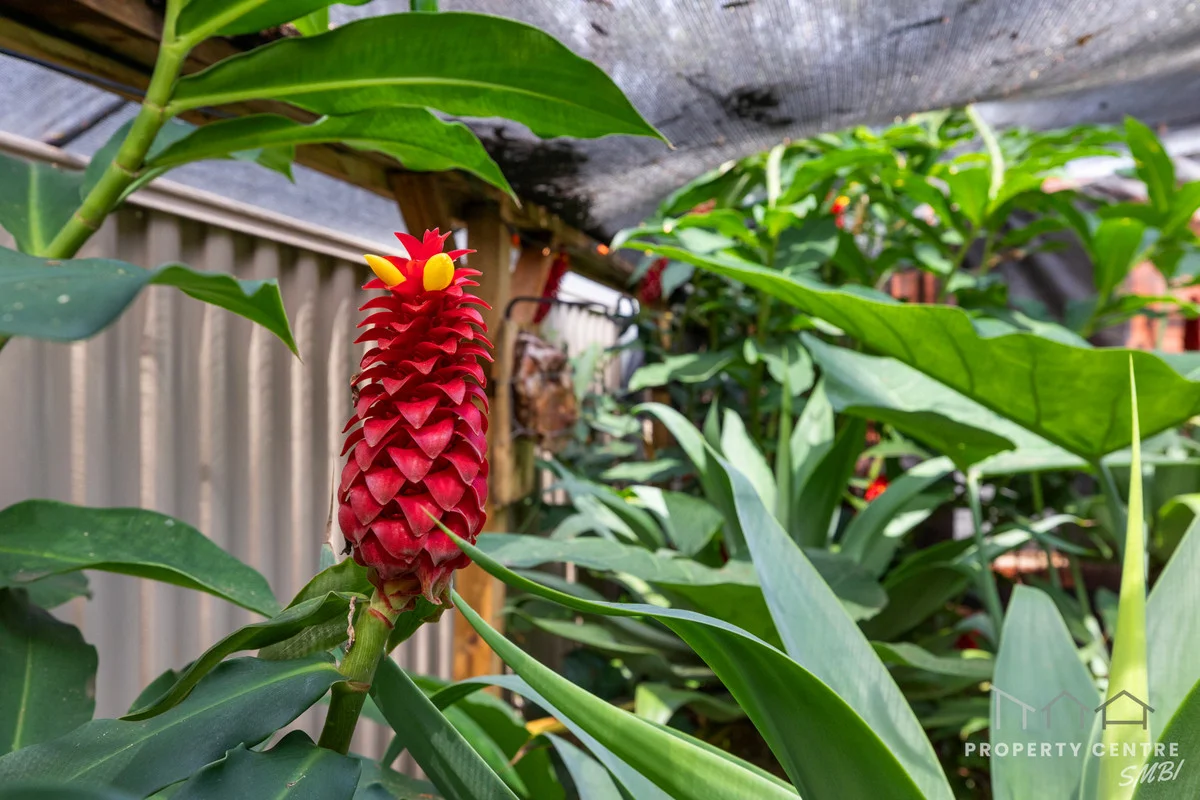 Additional image 21 of 17 Meadstone Street, Russell Island QLD 4184