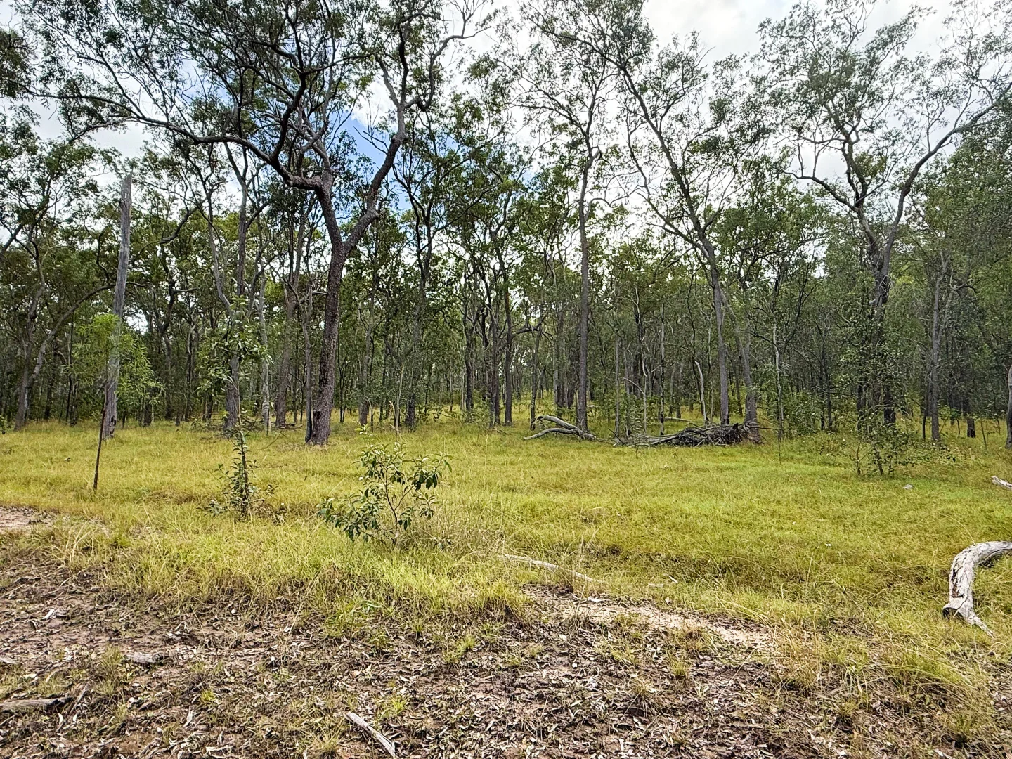 Additional image 28 of Lot 10/931 Nearum Road, Nearum QLD 4671