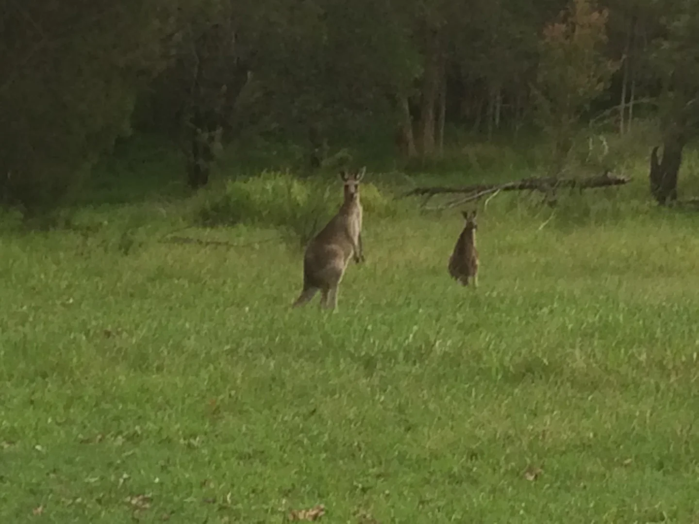 Additional image 18 of Cootharaba QLD 4565