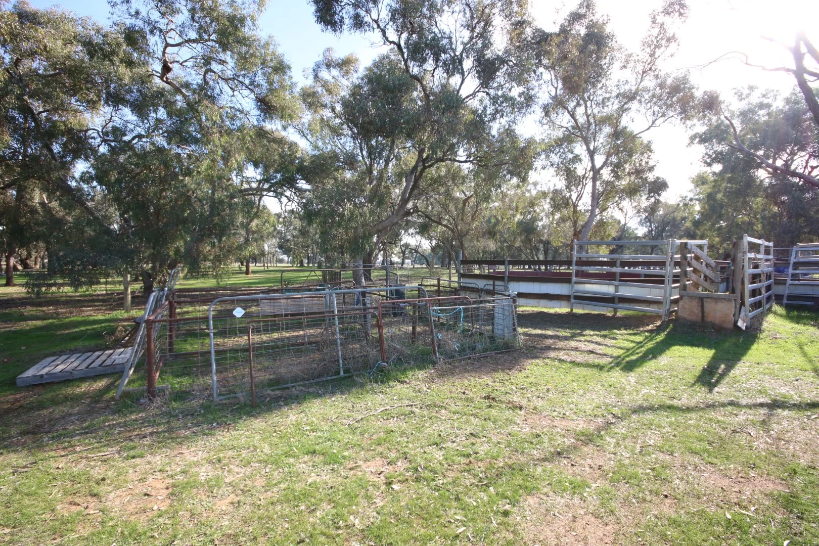 Additional image 9 of 516 O'Donnell Road, Rochester VIC 3561