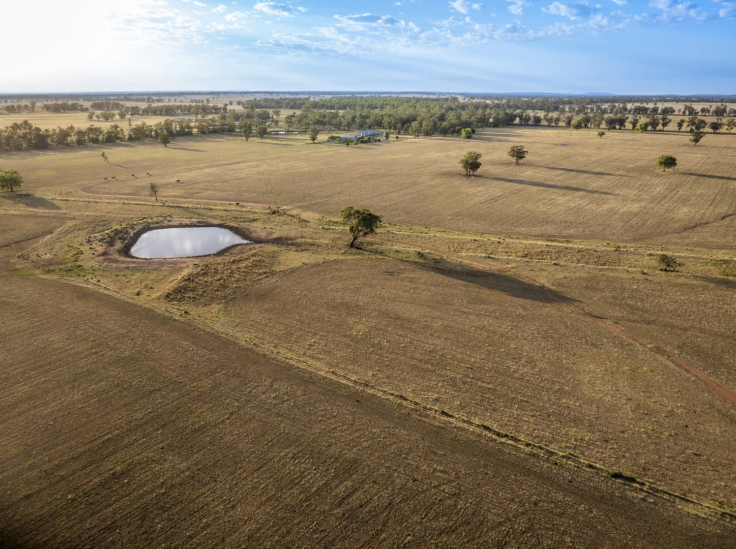 Additional image 21 of Mentone 1521 Bruie Plains Road, Trundle NSW 2875