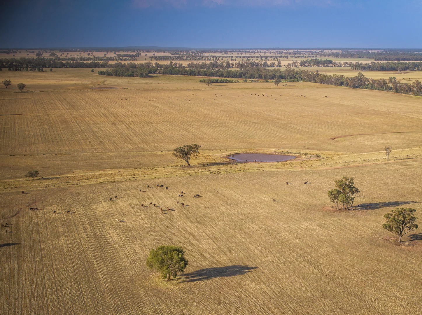 Additional image 19 of Mentone 1521 Bruie Plains Road, Trundle NSW 2875