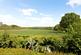 Additional image 13 of Farnham Road, Liss, Hampshire, GU33