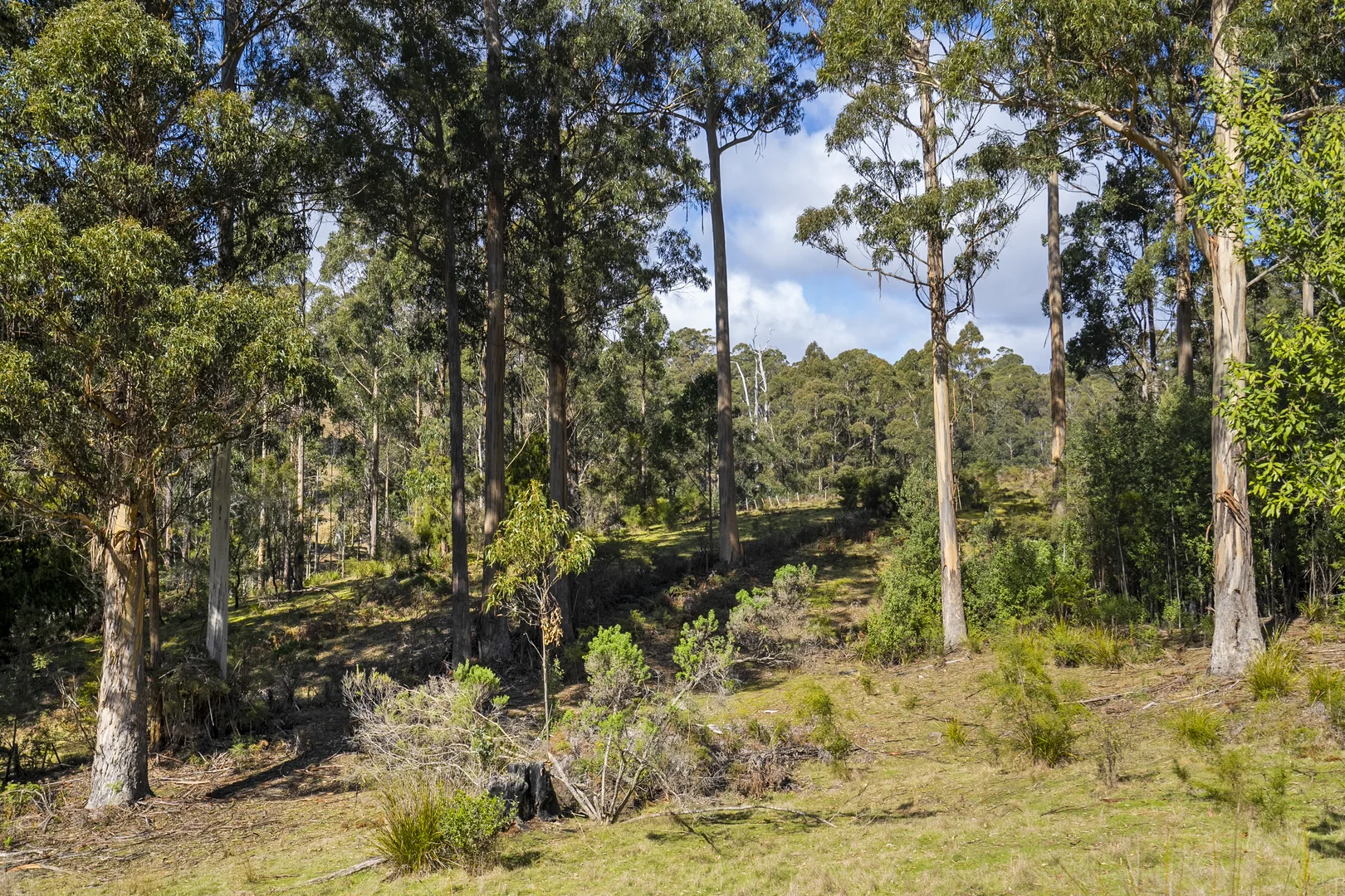 Additional image 18 of 129 Littles Road, Premaydena TAS 7185