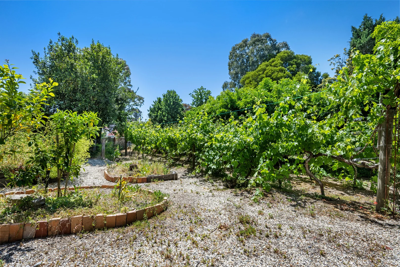 Additional image 9 of 189A Arnold Street, North Bendigo VIC 3550