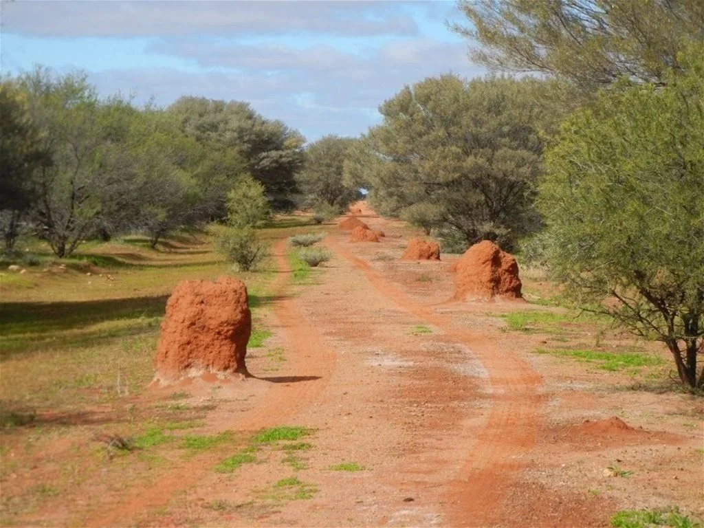 Additional image 17 of Great Northern Highway, Mount Magnet WA 6638