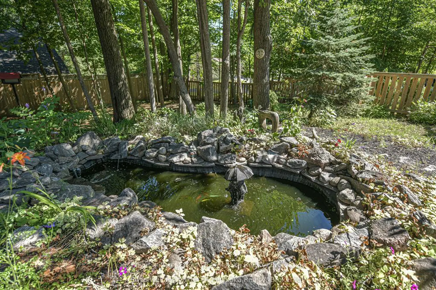 Additional image 5 of 115 Douglas Street