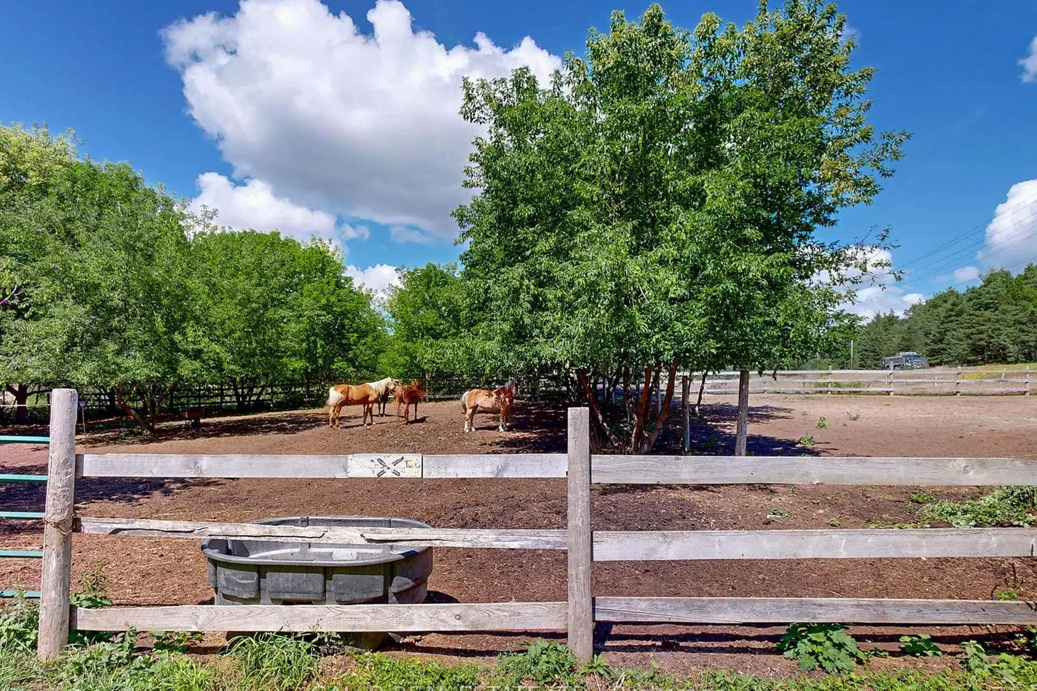 Additional image 10 of 16558 Highway 48