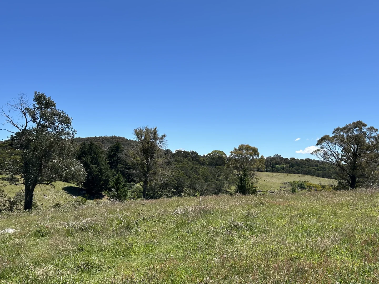 Additional image 14 of 1202 Majors Creek Road, Majors Creek NSW 2622