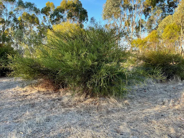 Additional image 20 of 964 Dobaderry Road, Beverley WA 6304