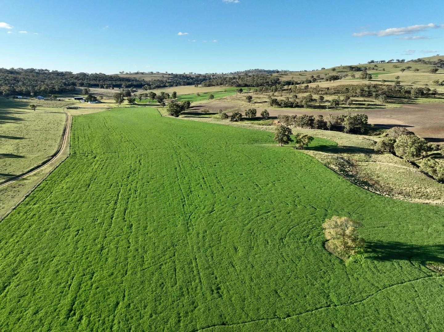 Additional image 4 of "Jemalong" 263 Collier Road, Coolah NSW 2843