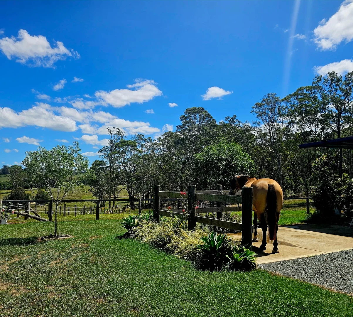 Additional image 26 of 148 Mimi Creek Road, Firefly NSW 2429