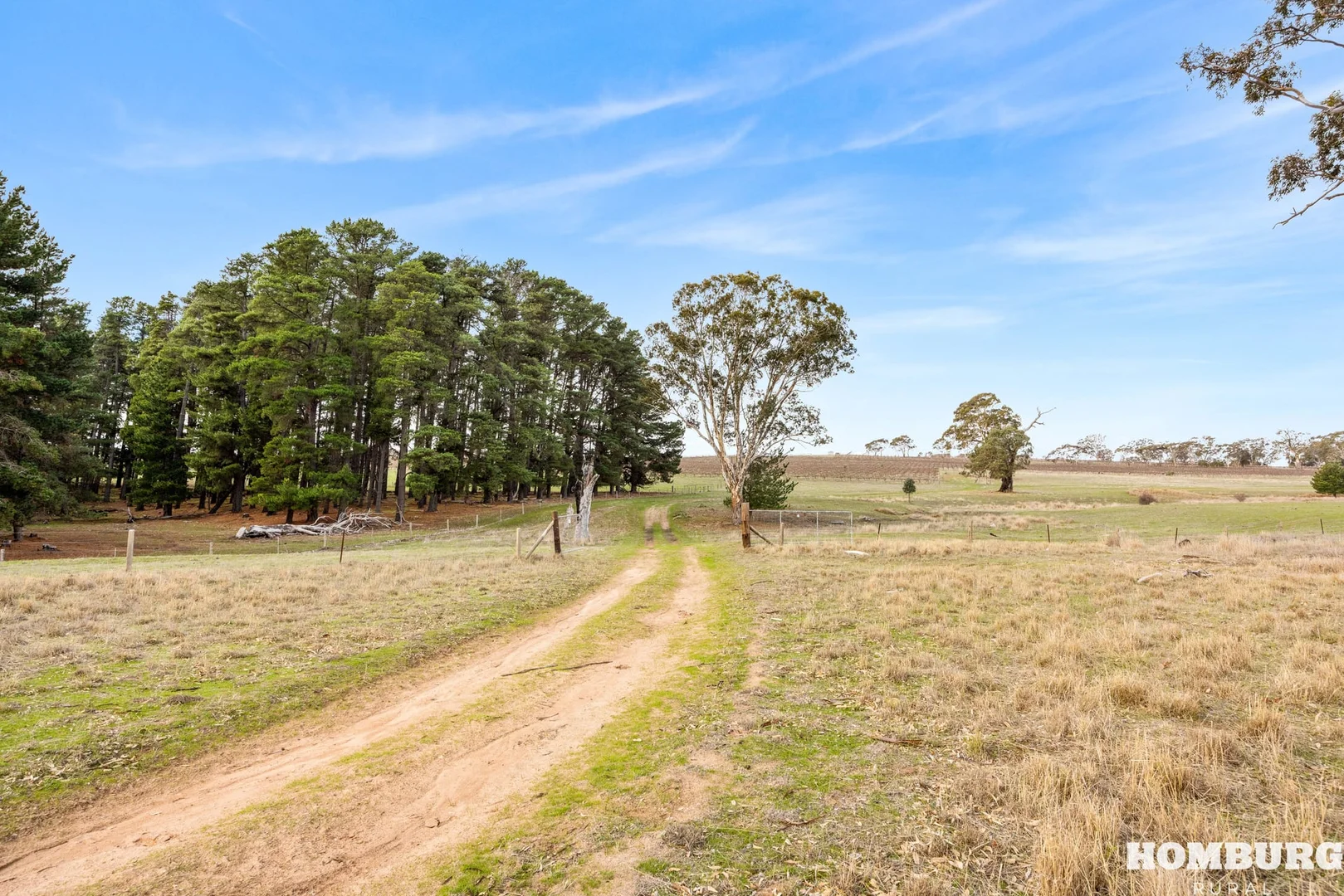 Additional image 5 of Lot/3 Keyneton Road, Eden Valley SA 5235