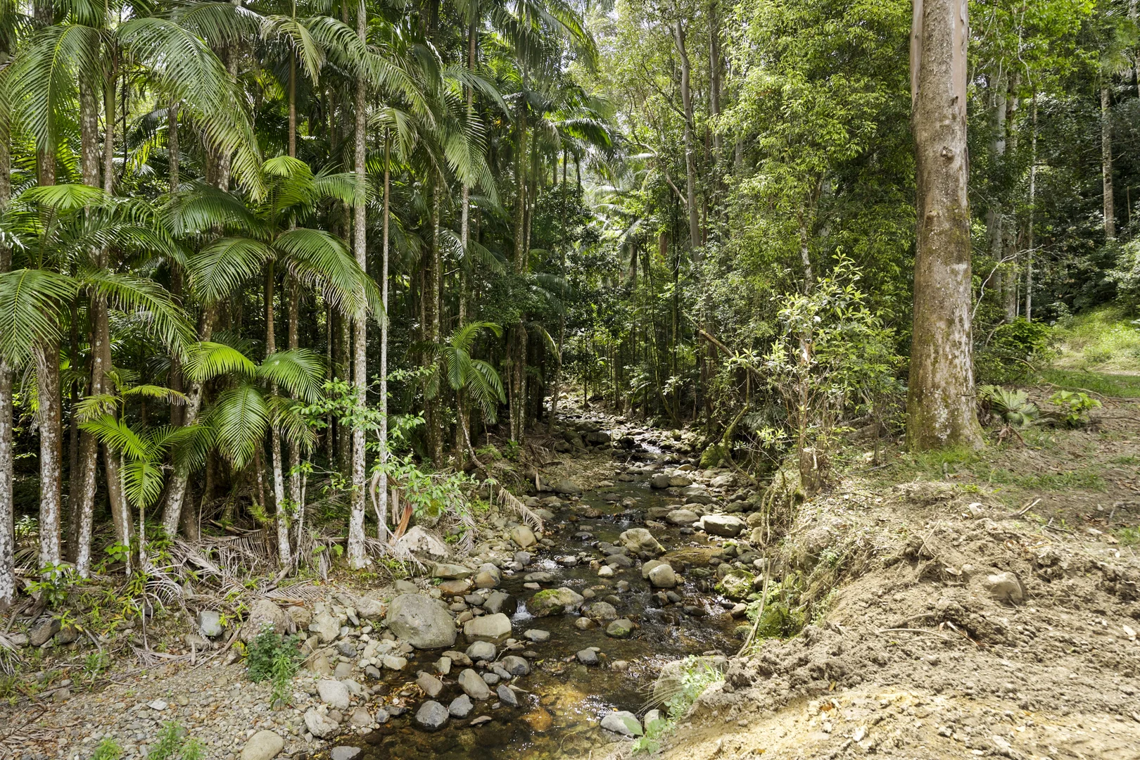 Additional image 14 of 192 Booka Road, Upper Crystal Creek NSW 2484