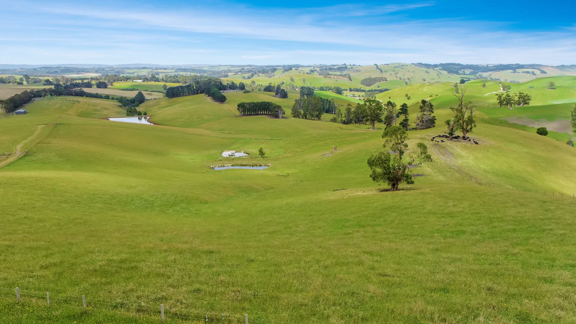 Additional image 14 of 3233 Strzelecki Highway, Mirboo North VIC 3871
