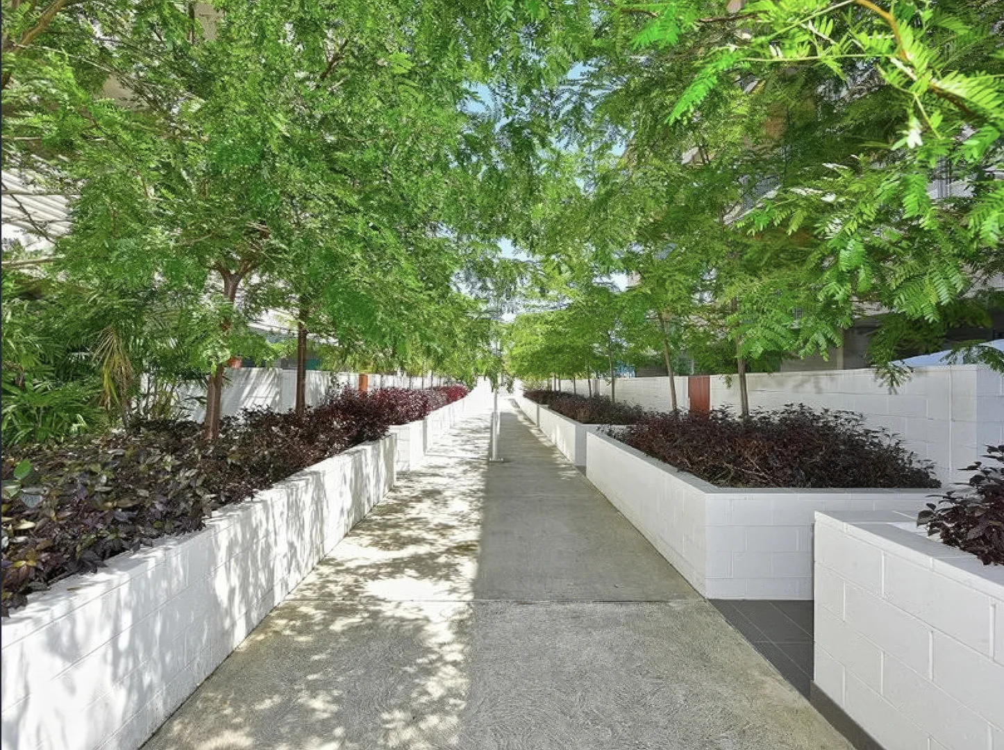 Additional image 8 of 13/525 Illawarra Rd, Marrickville NSW 2204