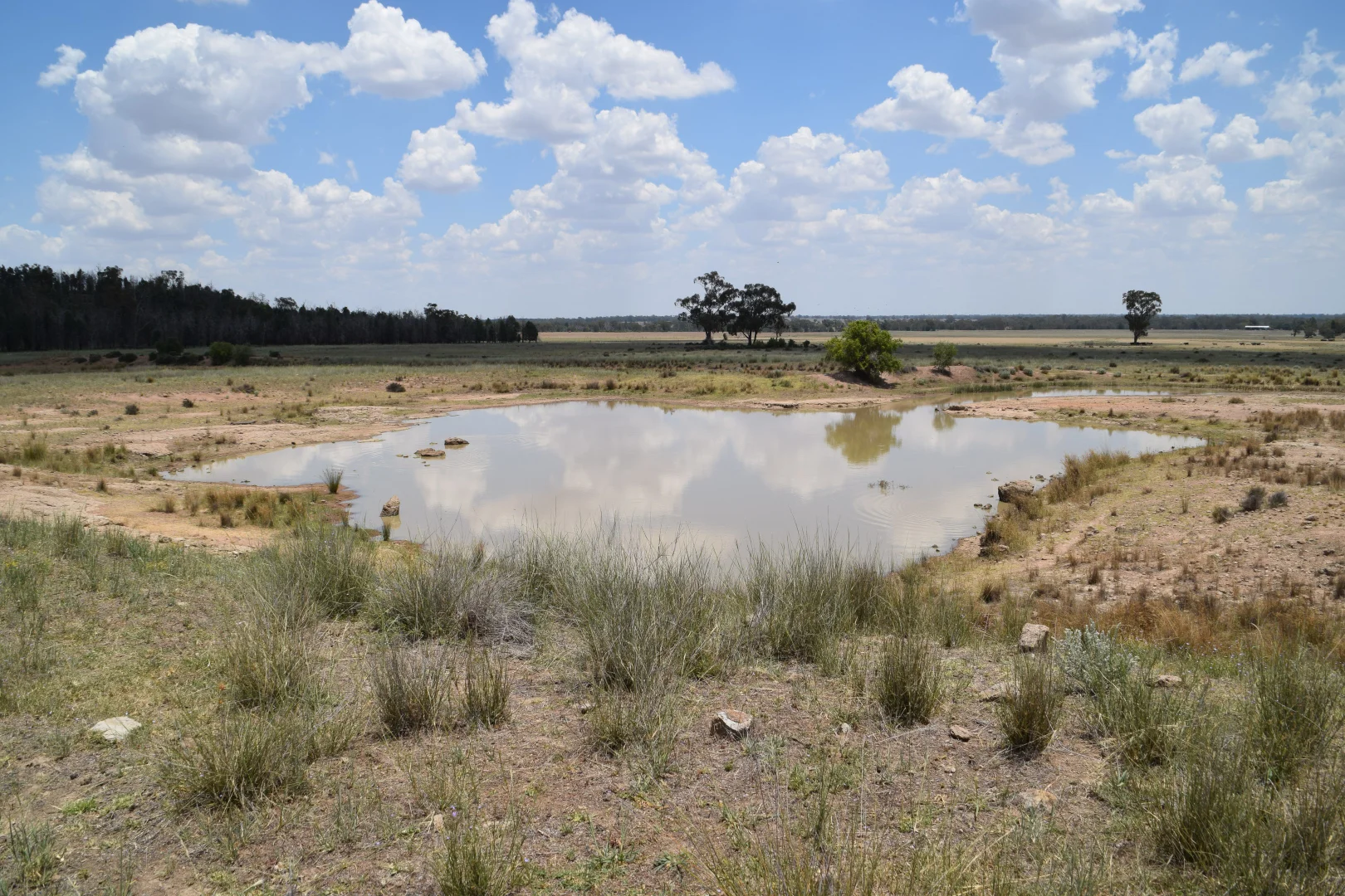 Additional image 26 of 'Illapa' 238L Narromine Road, Dubbo NSW 2830