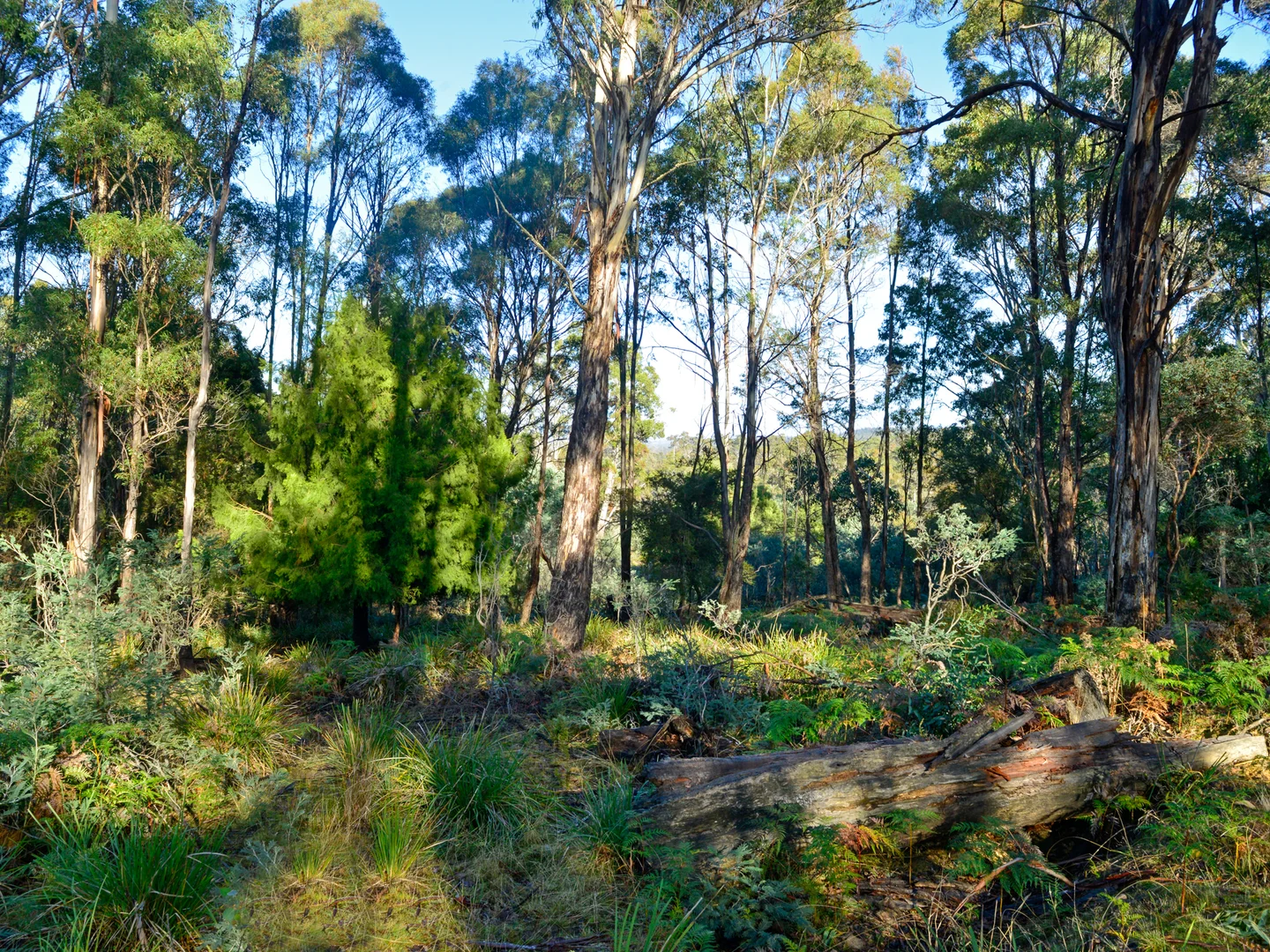 Additional image 11 of 172 Mcguires Marsh Road, Osterley TAS 7140