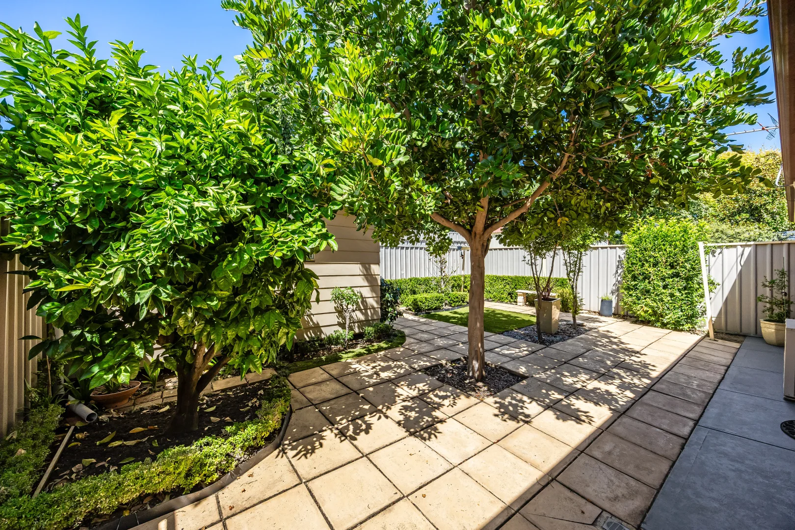 Additional image 15 of 33 Duthy Street, Unley SA 5061