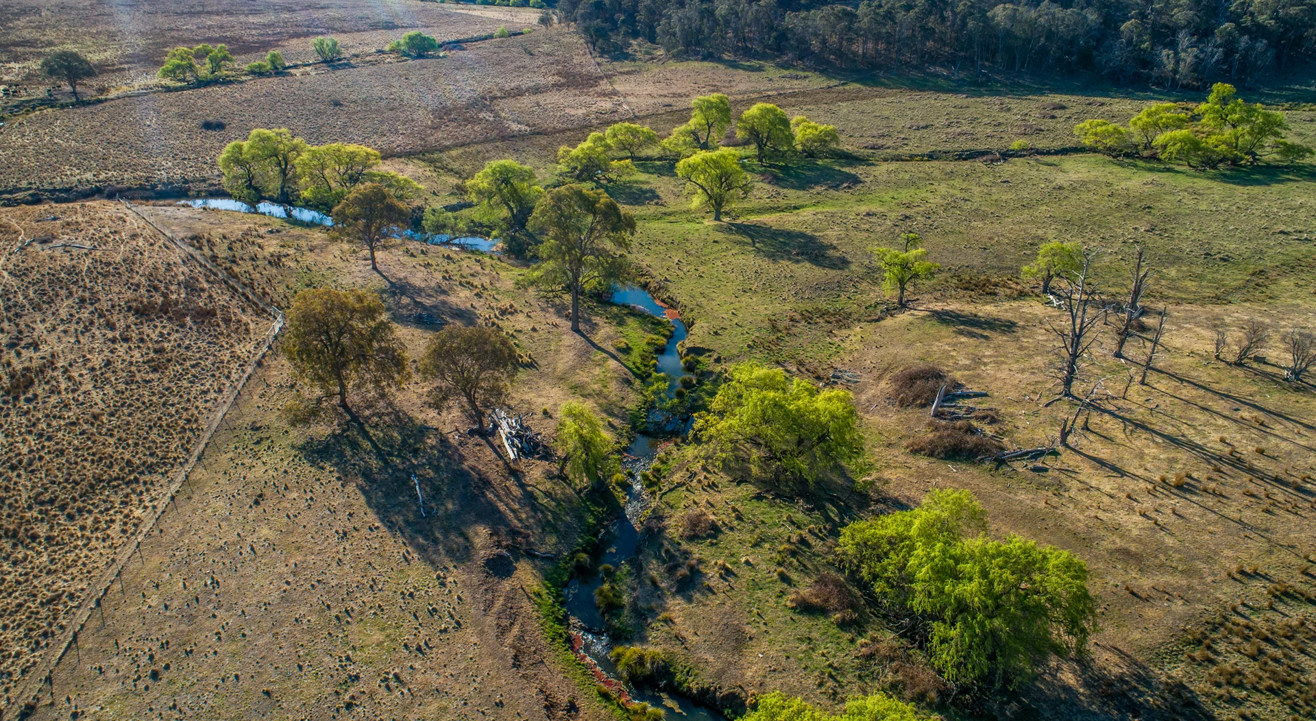 Additional image 10 of 250 Sissons Road Aberfoyle, Armidale NSW 2350