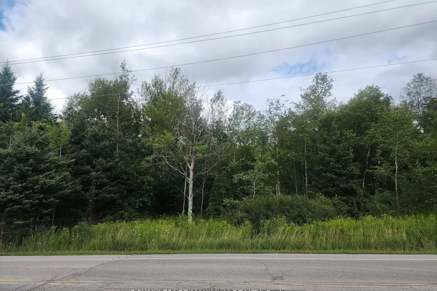 Additional image 7 of 20223 Bathurst Street