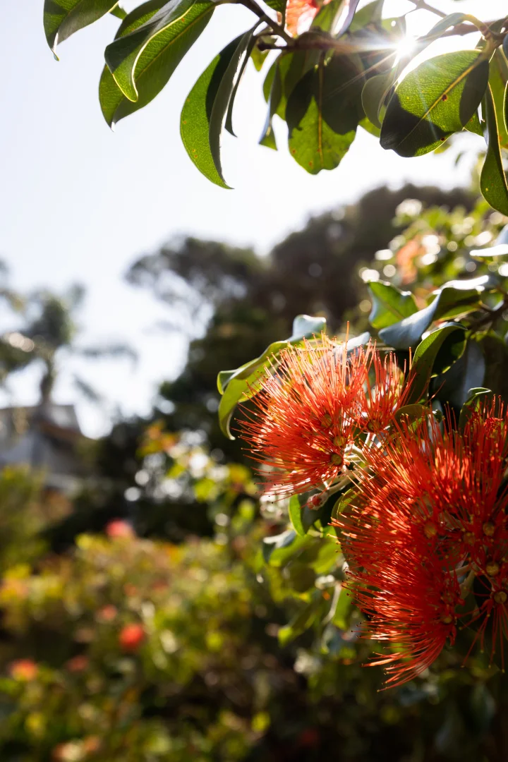 Additional image 36 of 3 Marloo Avenue, Bawley Point NSW 2539