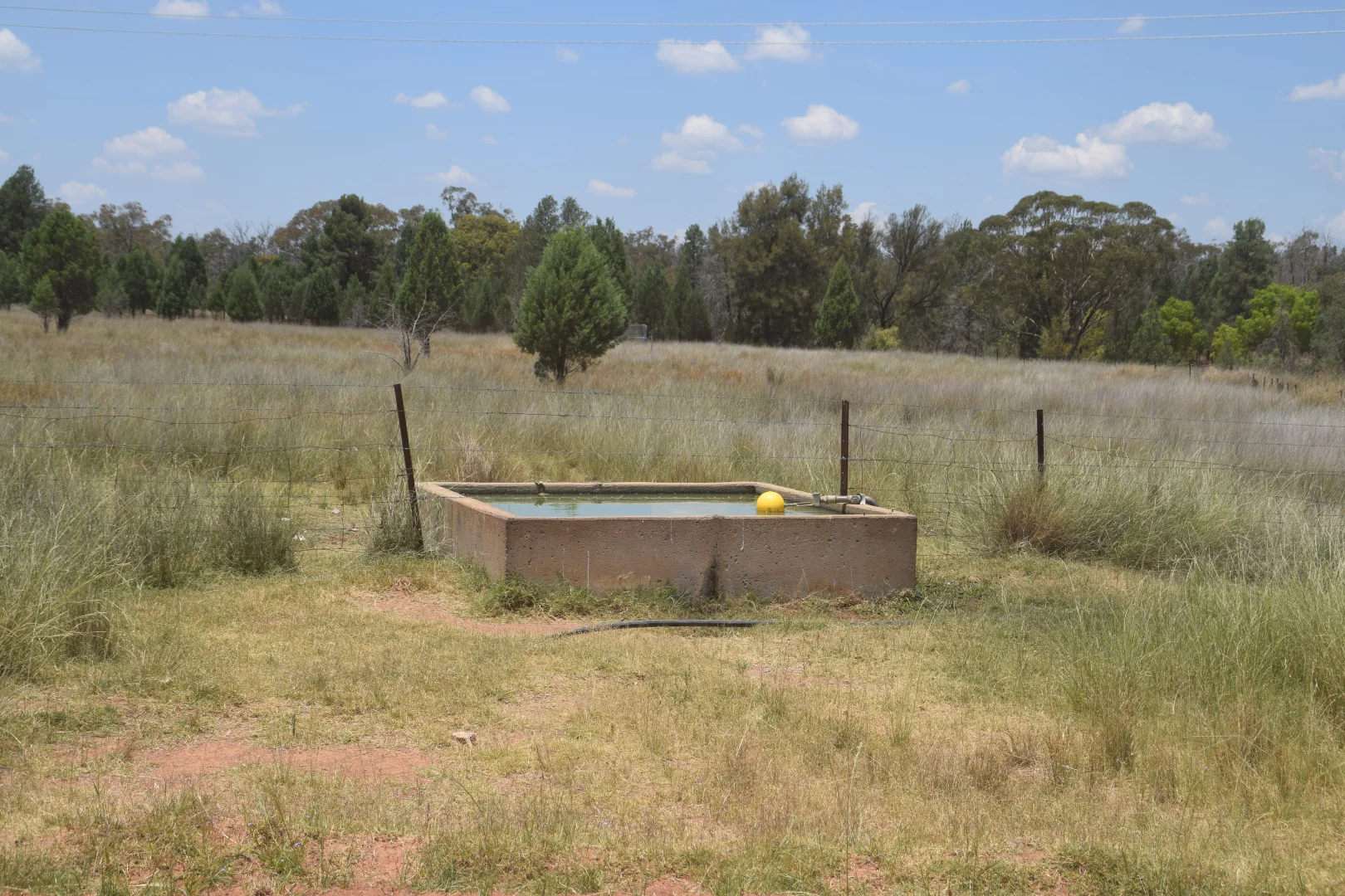 Additional image 21 of 'Illapa' 238L Narromine Road, Dubbo NSW 2830