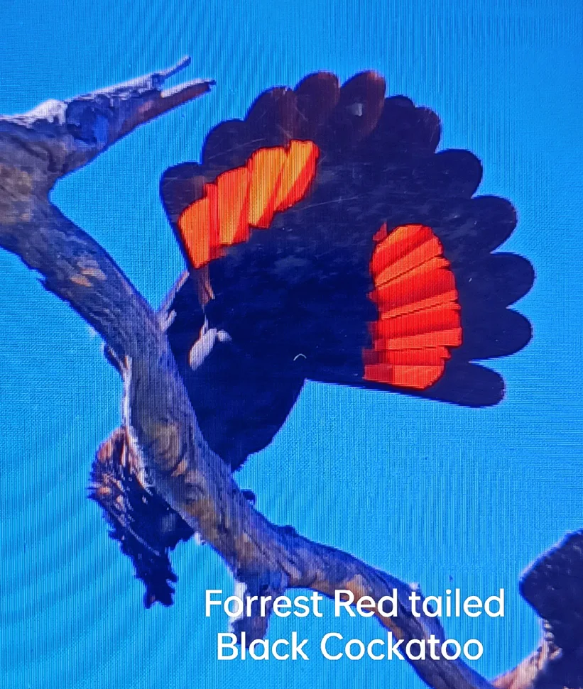 Additional image 11 of West Coolup WA 6214