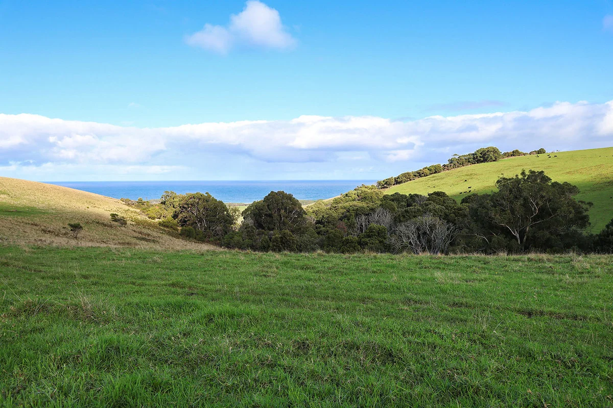 Additional image 19 of 105 Stafford Road, Johanna VIC 3238