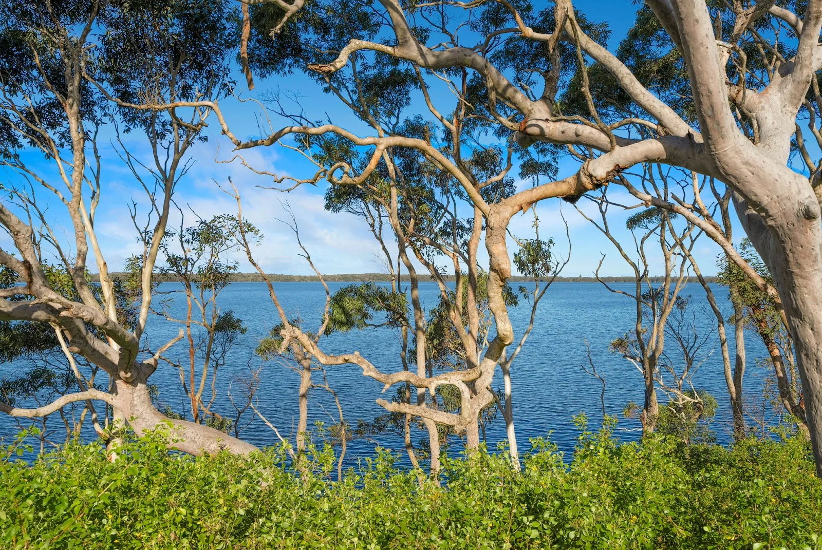 Additional image 7 of 9/2 MacLeay Drive, Halekulani NSW 2262