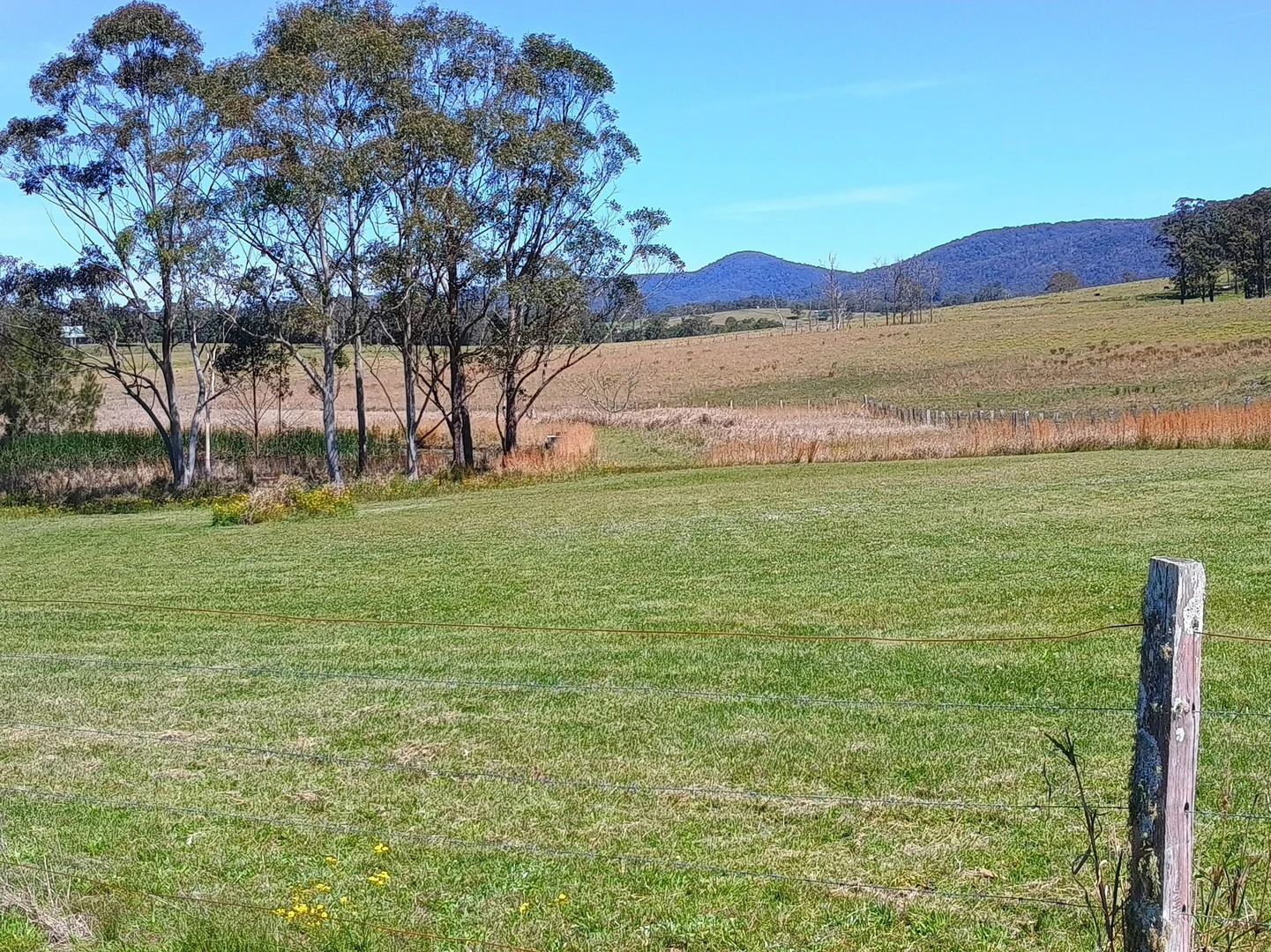 Additional image 30 of 427 Markwell Back Road, Bulahdelah NSW 2423