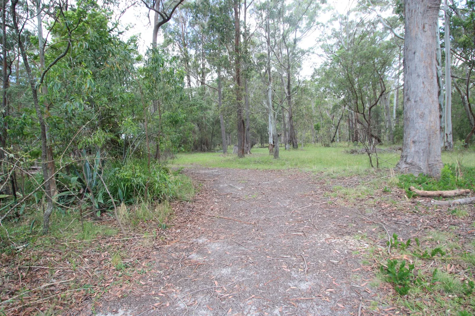 Additional image 25 of 2994 Mount Lindesay Road, Tenterfield NSW 2372