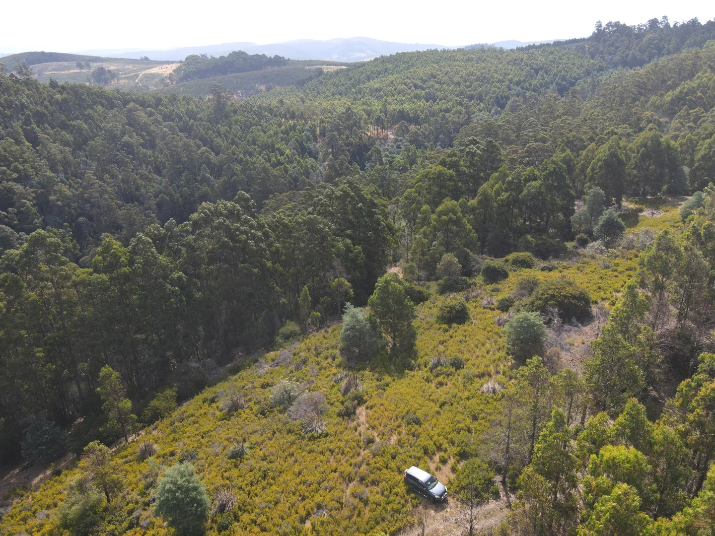 Additional image 8 of Lot 37 Bells Road, Cygnet TAS 7112