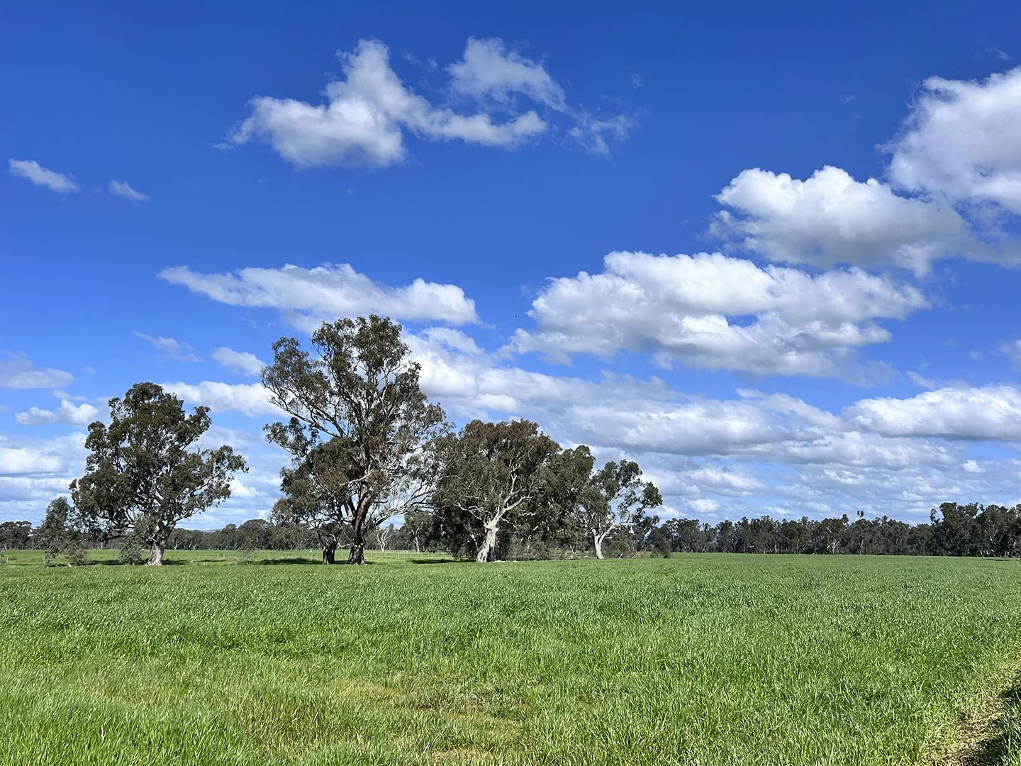 Additional image 3 of 1241 Drysdale Road, Pranjip VIC 3666