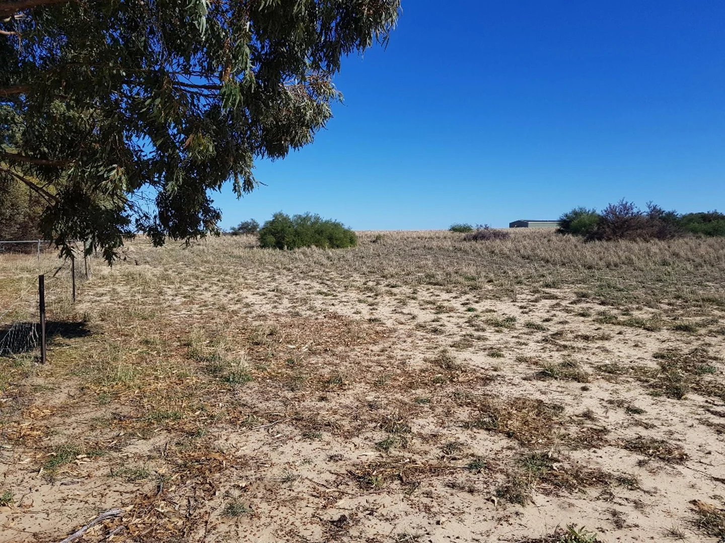 Additional image 7 of 114 Ocean View Parade, Jurien Bay WA 6516
